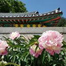 모닝다방 이미지