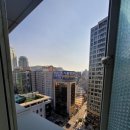 피앤디 솔로빌 이미지