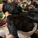 담쟁이 | 퇴근 후 정원생활 | 임산부 워킹맘 힐링 하고 온 솔직 후기 🌿 담쟁이 덩굴 편