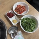 동대닭한마리 티스토리