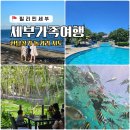 뉴한강게임장 | 필리핀 세부 가족여행 아이랑 일정 놀거리 지도