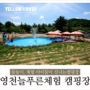 늘푸른체험학교캠핑장 이미지