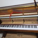 한울그린 이미지