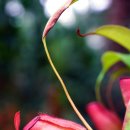 상동호수공원 이미지