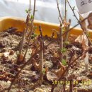 새싹농장 이미지