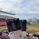 광주109 | 20250704 광주 챔피언스필드 직관 후기 :: 1루 K8 109구역 28열 시야