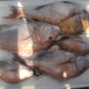 남해-318 이미지