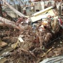 성한주유소 이미지