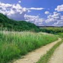 삼화카센타 이미지