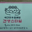 견생스타일 이미지