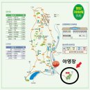장태산휴양림 | [장태산휴양림 야영장 캠핑 후기 리뷰] 명당데크와 시설배치도, 메타세콰이아 길, &#34;어서와 장태산은...