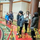 내공초