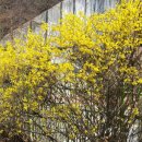 꽃그린공인중개사사무소 이미지