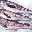 메밀능이촌 이미지