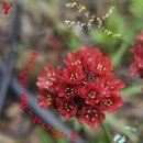 (주)온비 이미지