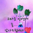 해인정
