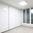 신세대지큐빌 이미지