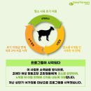 조이축산