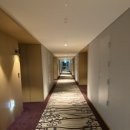 스탠포드호텔안동 주식회사 | [안동] 룸이 깔끔하고 아늑해서 좋았던 가성비 호텔 "스탠포드호텔" 내돈내산 솔직후기