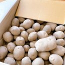 김천양파포크영농조합법인 | 국내산 못난이 감자1kg 300원![김천유통영농조합]못생긴 저장감자지만 맛은 최고❤︎감자 샐러드 만들기