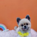 상일축산 이미지