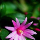 정분이네 이미지