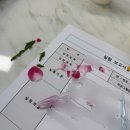 연수여자고등학교 | 공학자가 되어, 항산화 효과가 있는 음료를 찾아보자(제약공학자/25.5.30 인천광역시 연수여자고등학교)