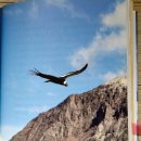 내 영혼에 바람이 분다 이미지