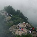 (주)신양관광 네이버블로그