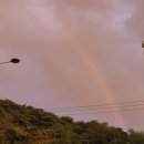 짝 스크린골프 이미지