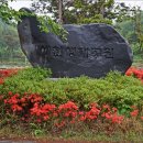 제바위세천 이미지