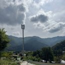 스테이수목 | 🏞️ 가평 애견동반 풀빌라 스테이수목 후기💚 산뷰 수영장에 힐링 완전했어요!