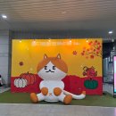 급 다녀온 궁팡 34th 후기ㅣ킨텍스 주차, 구매물품(슬리커, 산양나비, 엉덩이청결제)