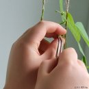 과학책 쉽게 읽는 실험교실 | [초등 독서 / 과학][초4] 용선생의 시끌벅적 과학교실 vs 과학공화국 법정 시리즈 vs 과학자가 들려주는...