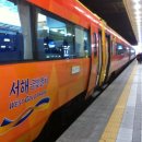 금빛웰빙