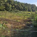 하빈농장 이미지