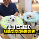 한걸음 동물병원 이미지