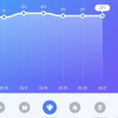&lt;스위치온 다이어트&gt; 14일차 후기 다이어트 순항중 (+ 2주차 허용식품 소개)
