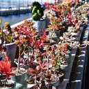 연곡낚시터 이미지