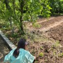 신태인읍 터미널 이미지