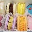 오로롱스튜디오