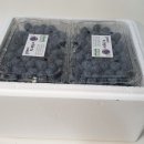 용기조아 이미지