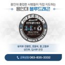 익산태권도체육관 이미지