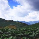 대관령전망대 이미지