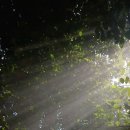 마법의 성 이미지