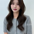 sk브로드밴드빌딩 | 머릿결 떡지고 푸석푸석? 찐친이 알려준 대전 갓성비 미용실