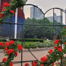 (주)아이녹스 이미지