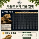 파충류샵아토리