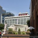 오월의향 | 명동 맛집 데이트 세븐티포 명동성당본점 참된 파스타 불고기리조또 주말 웨이팅 방문 후기