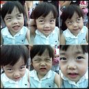 이시은 카카오 검색결과